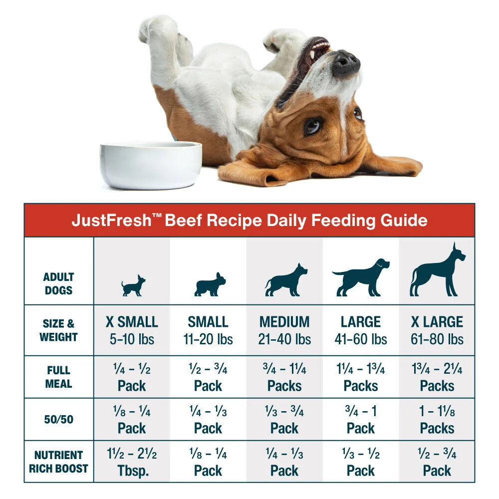 Just Food For Dogs Beef