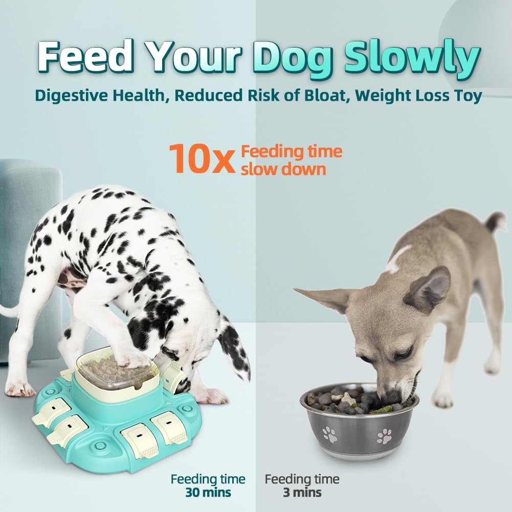 Treat Dispensing