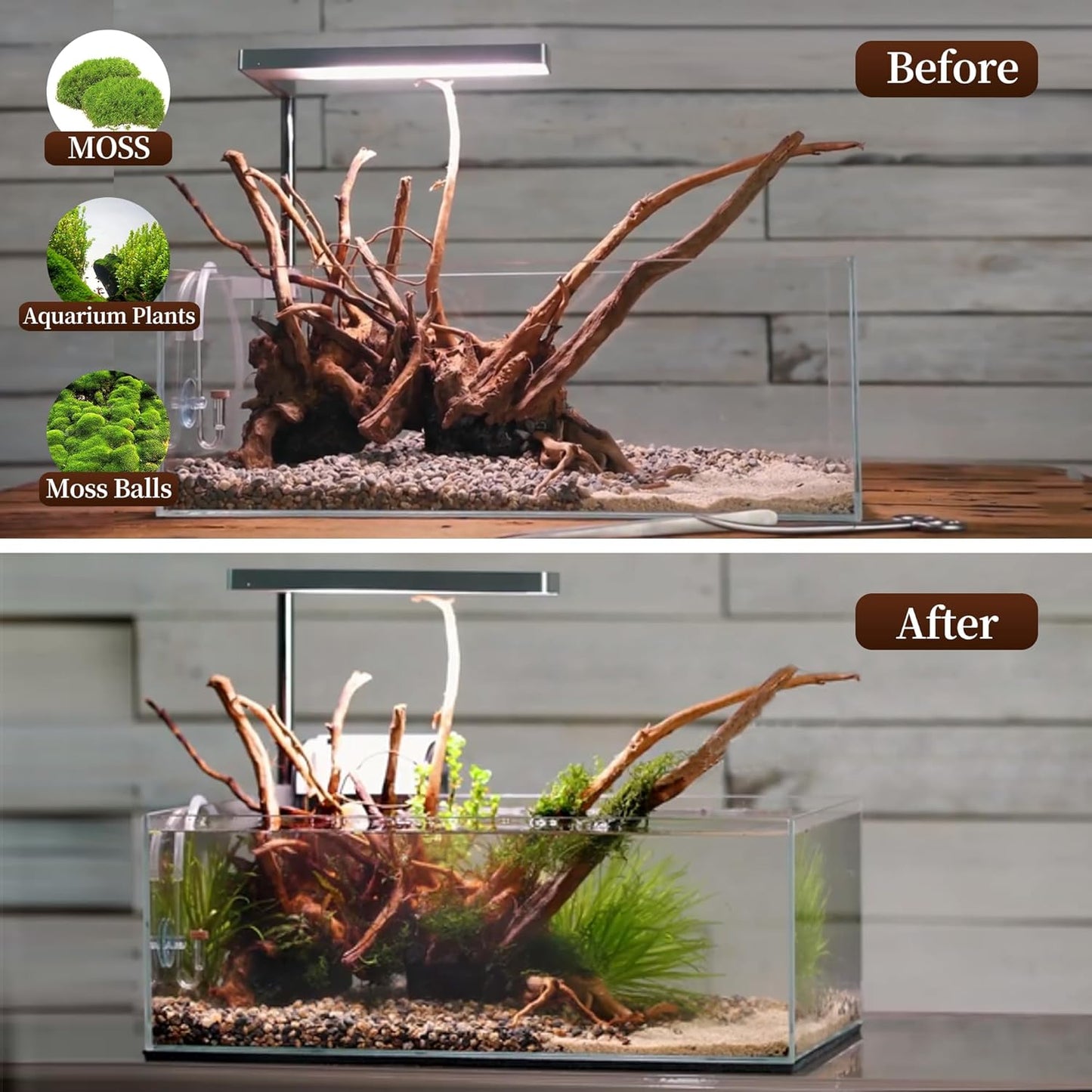Large Driftwood