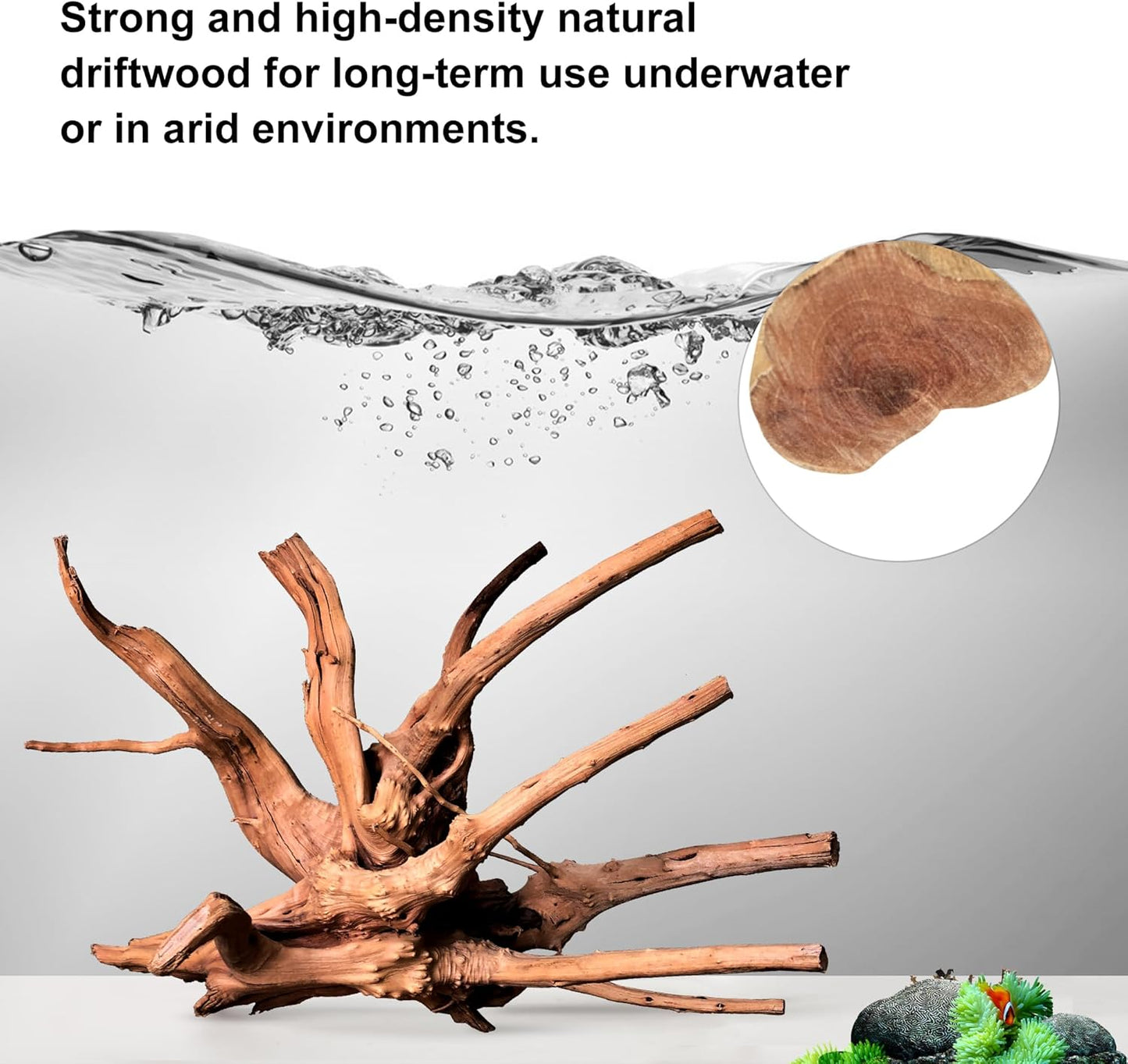 Large Driftwood