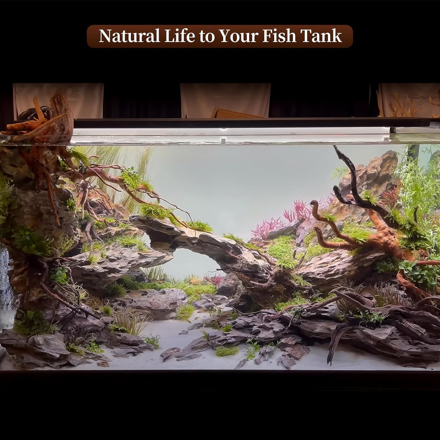 Large Driftwood