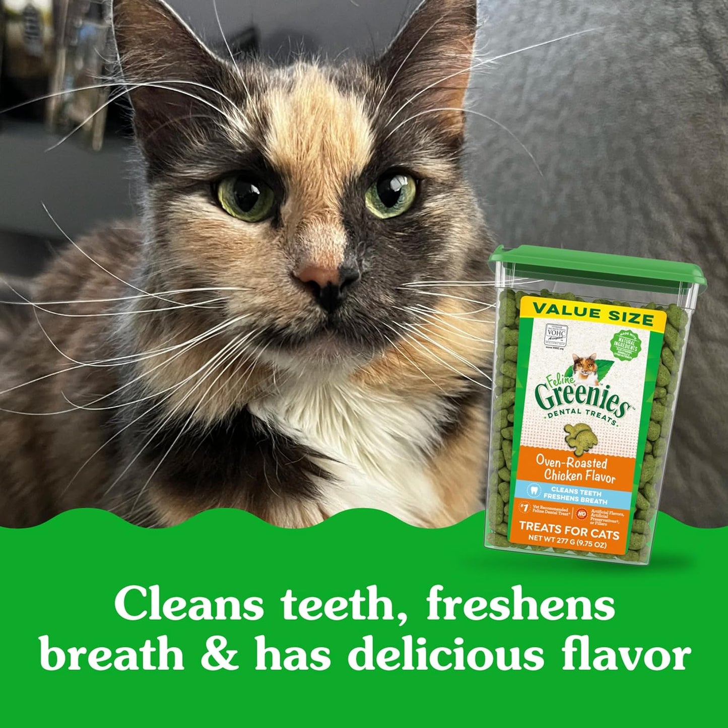 Feline Greenies