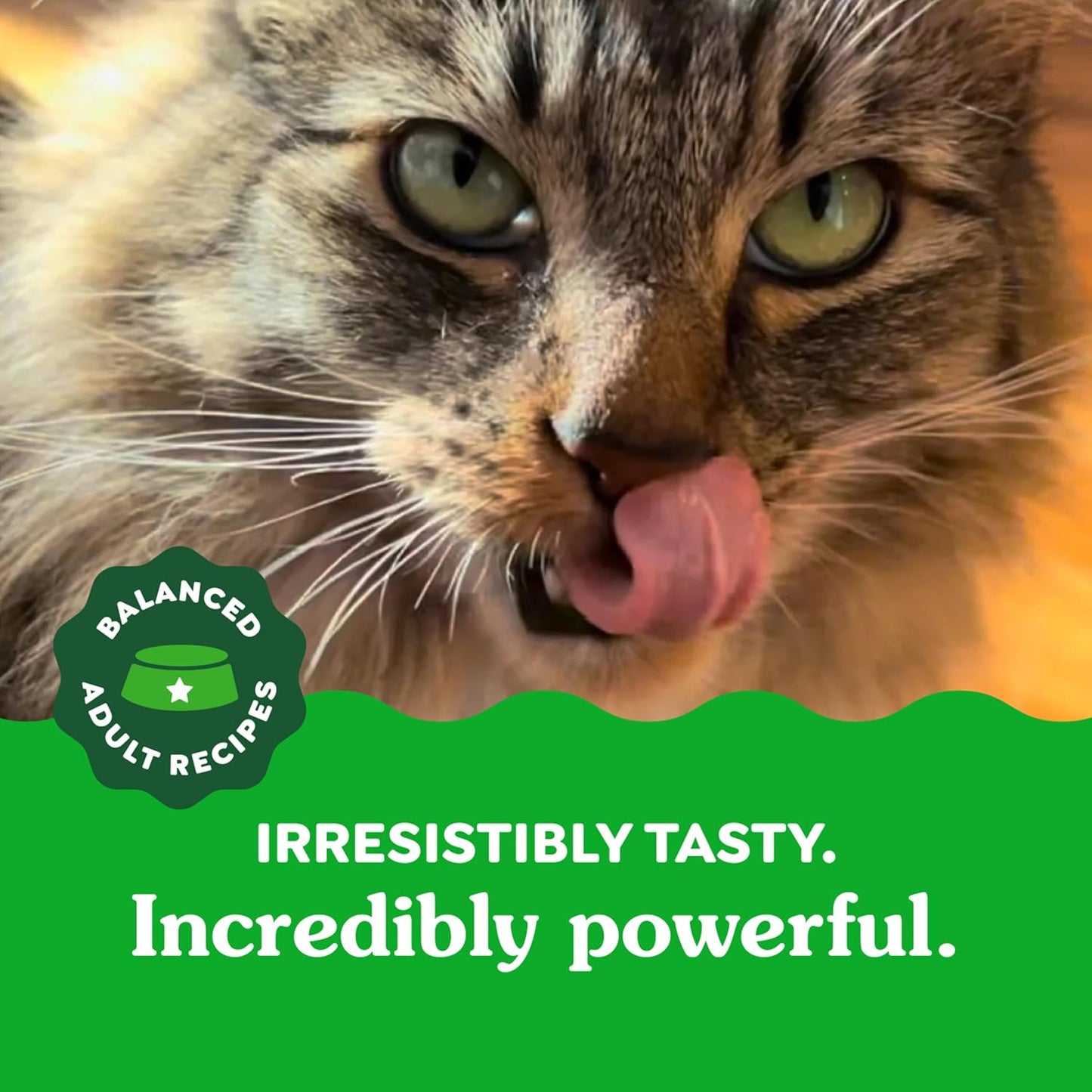 Feline Greenies