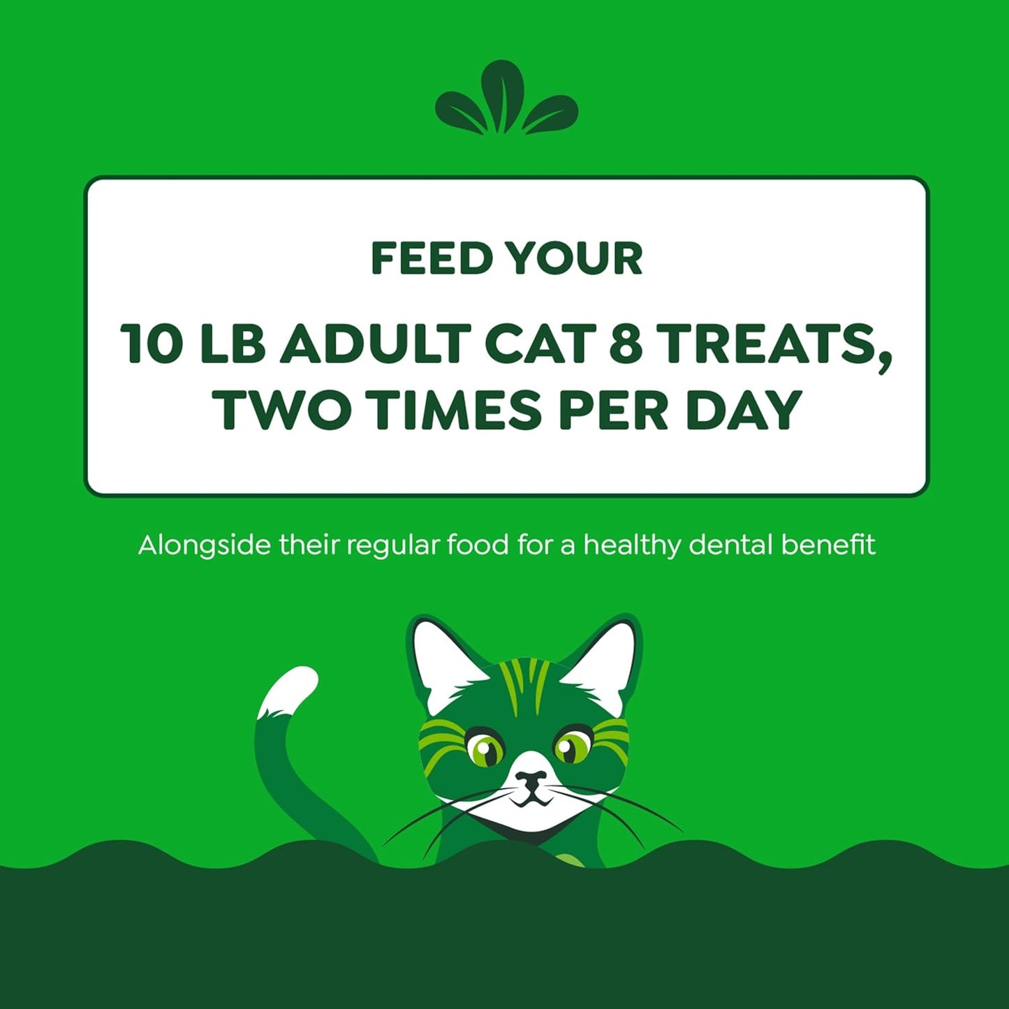 Feline Greenies