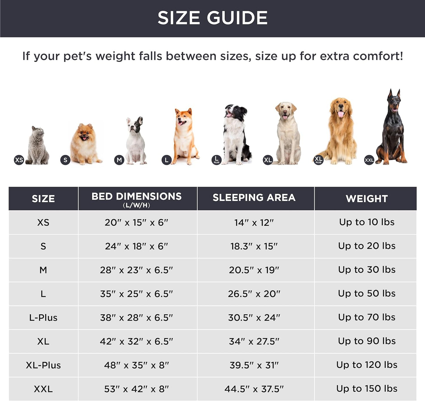 Ortho Dog Bed