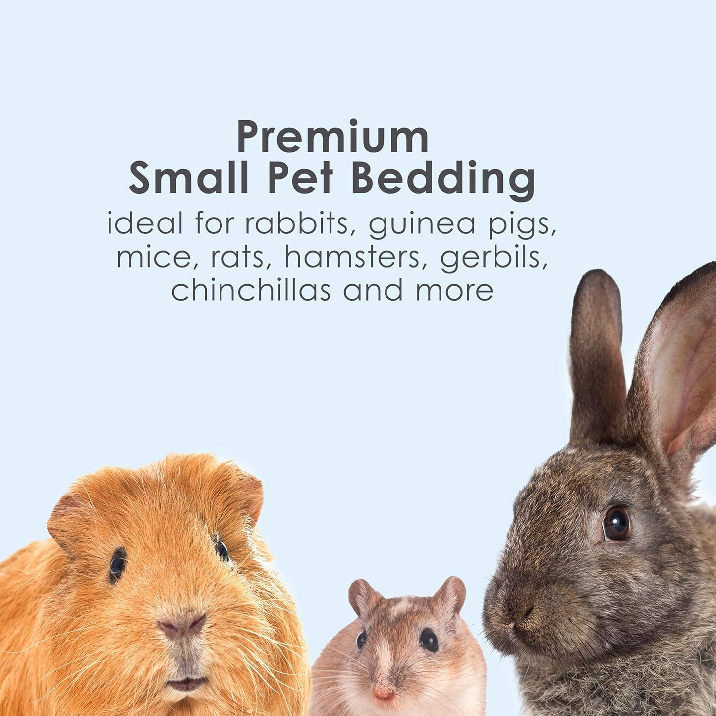 Premium White Paper