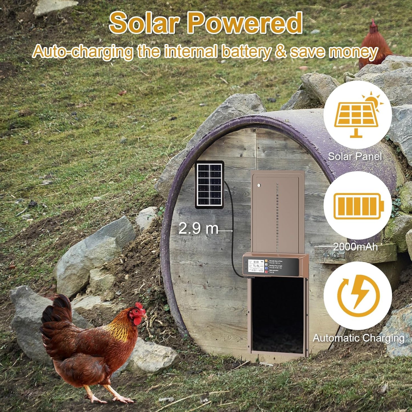 Solar Coop Door