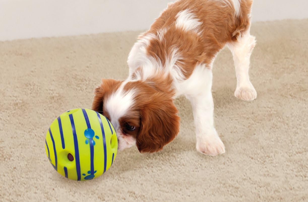 Wobble Wag Giggle Ball - BEST SELLER