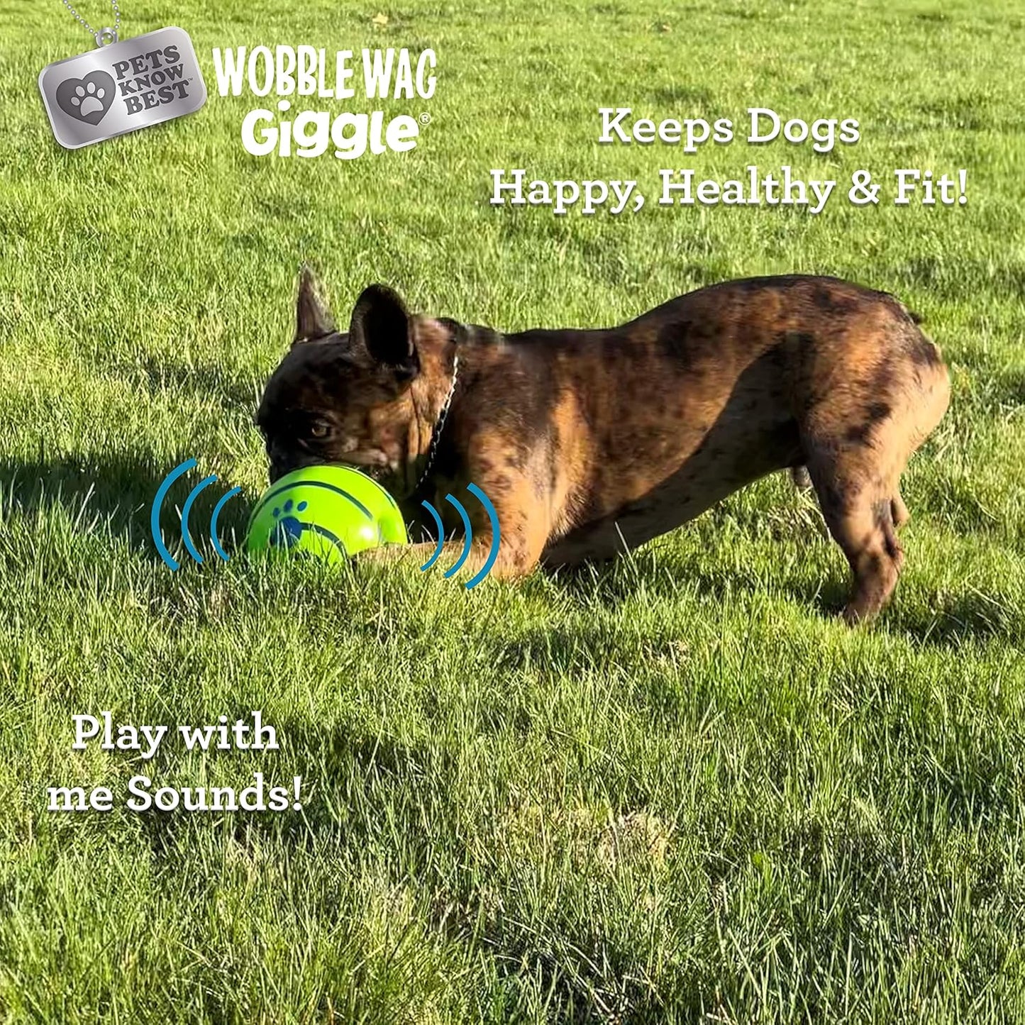 Wobble Wag Giggle Ball - BEST SELLER