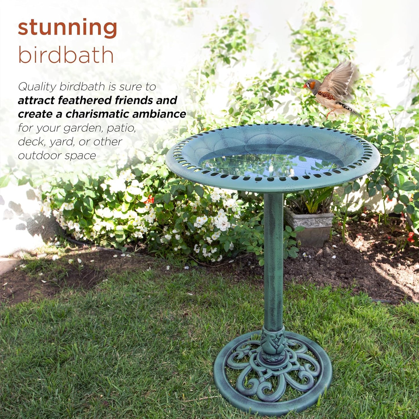 Bird Bath