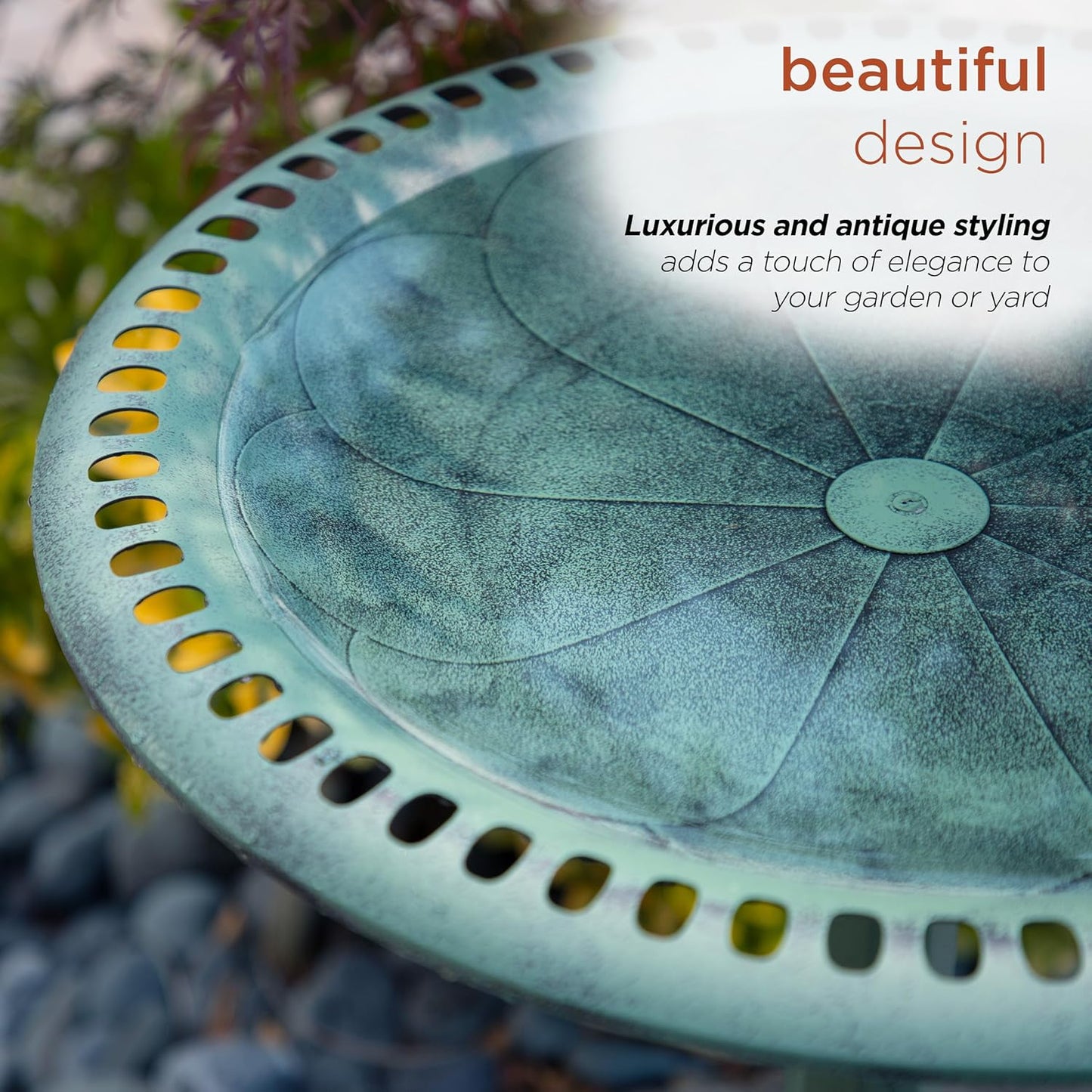 Bird Bath