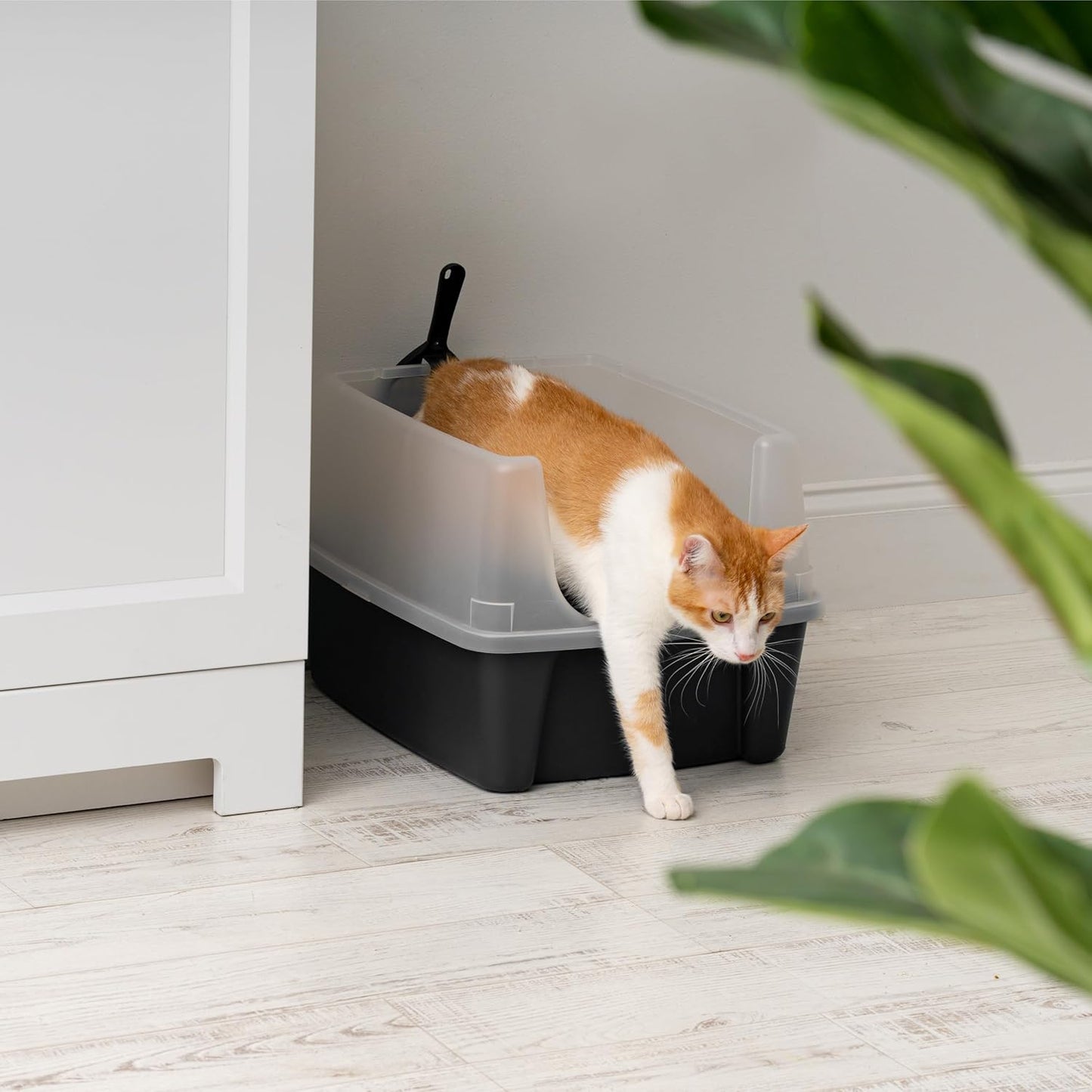 Large Litter Box