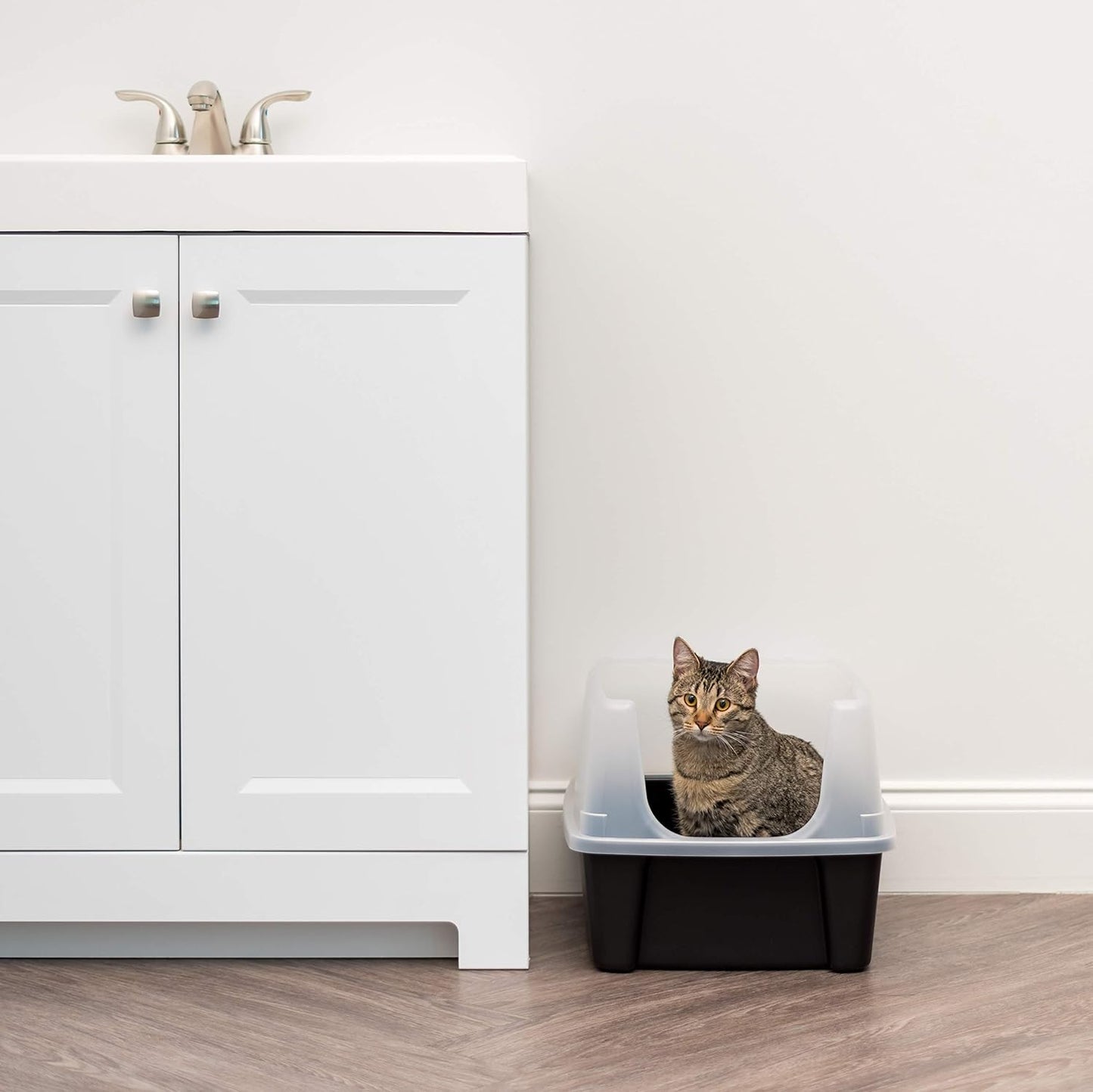 Large Litter Box