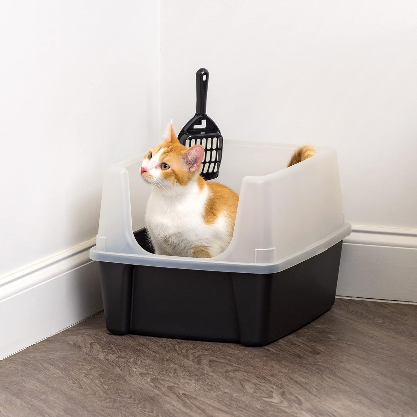 Large Litter Box