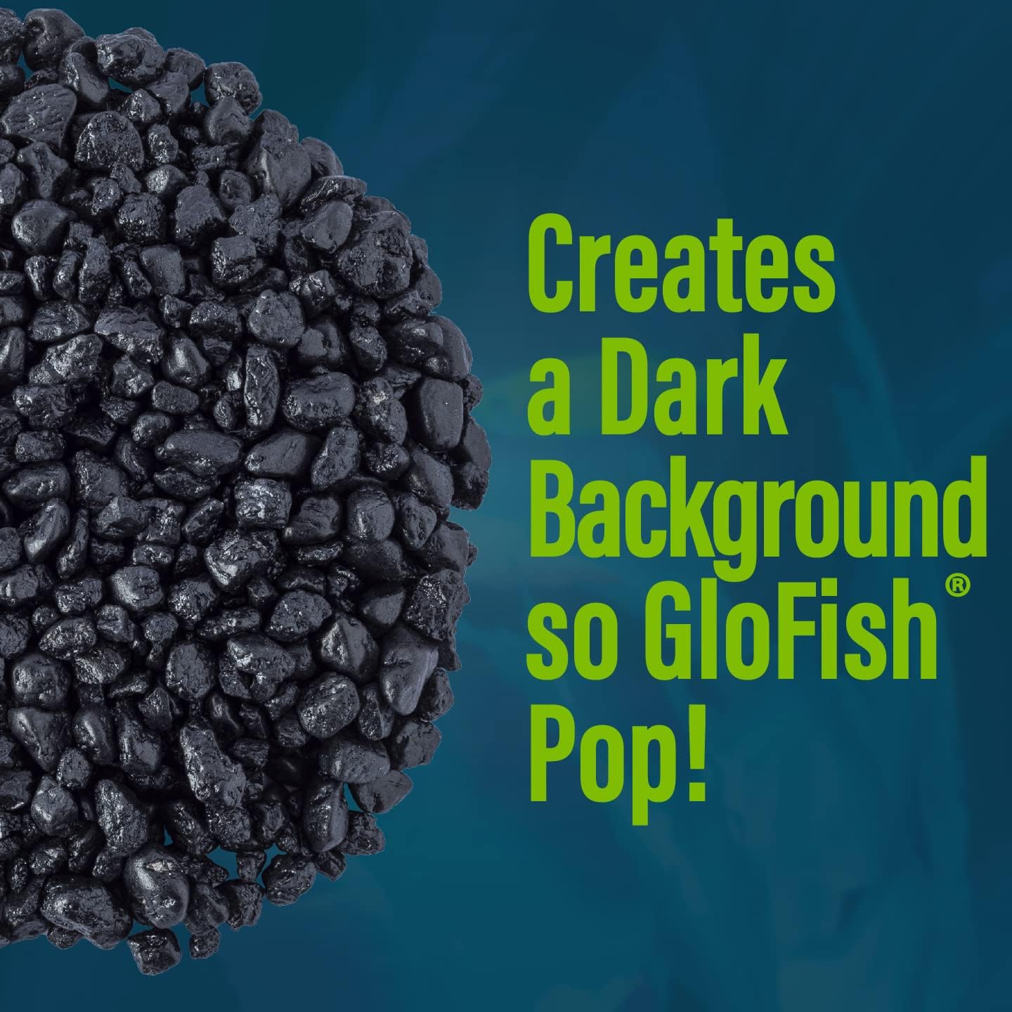 Solid Black
