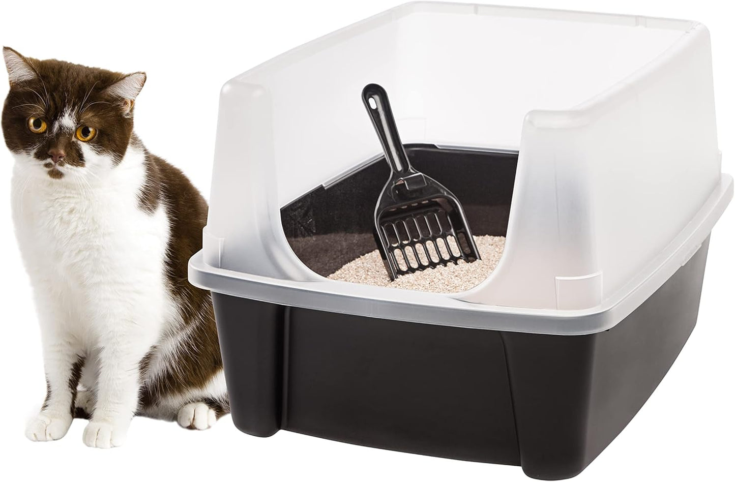 Large Litter Box