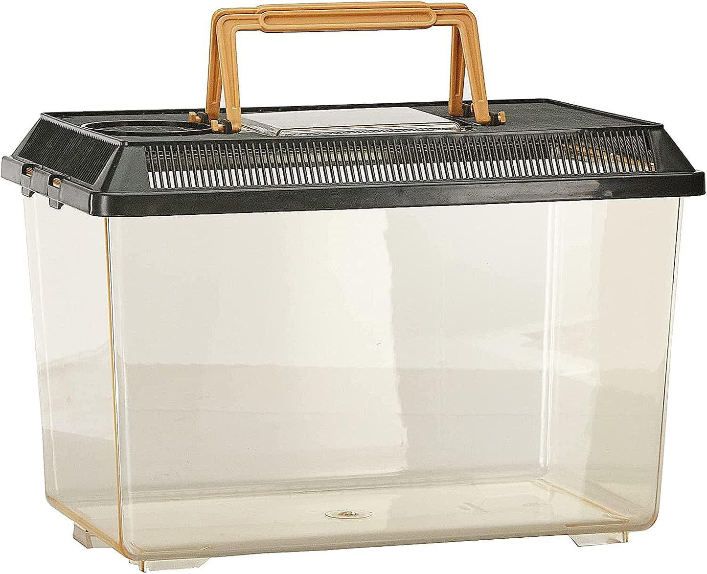 Plastic Terrarium