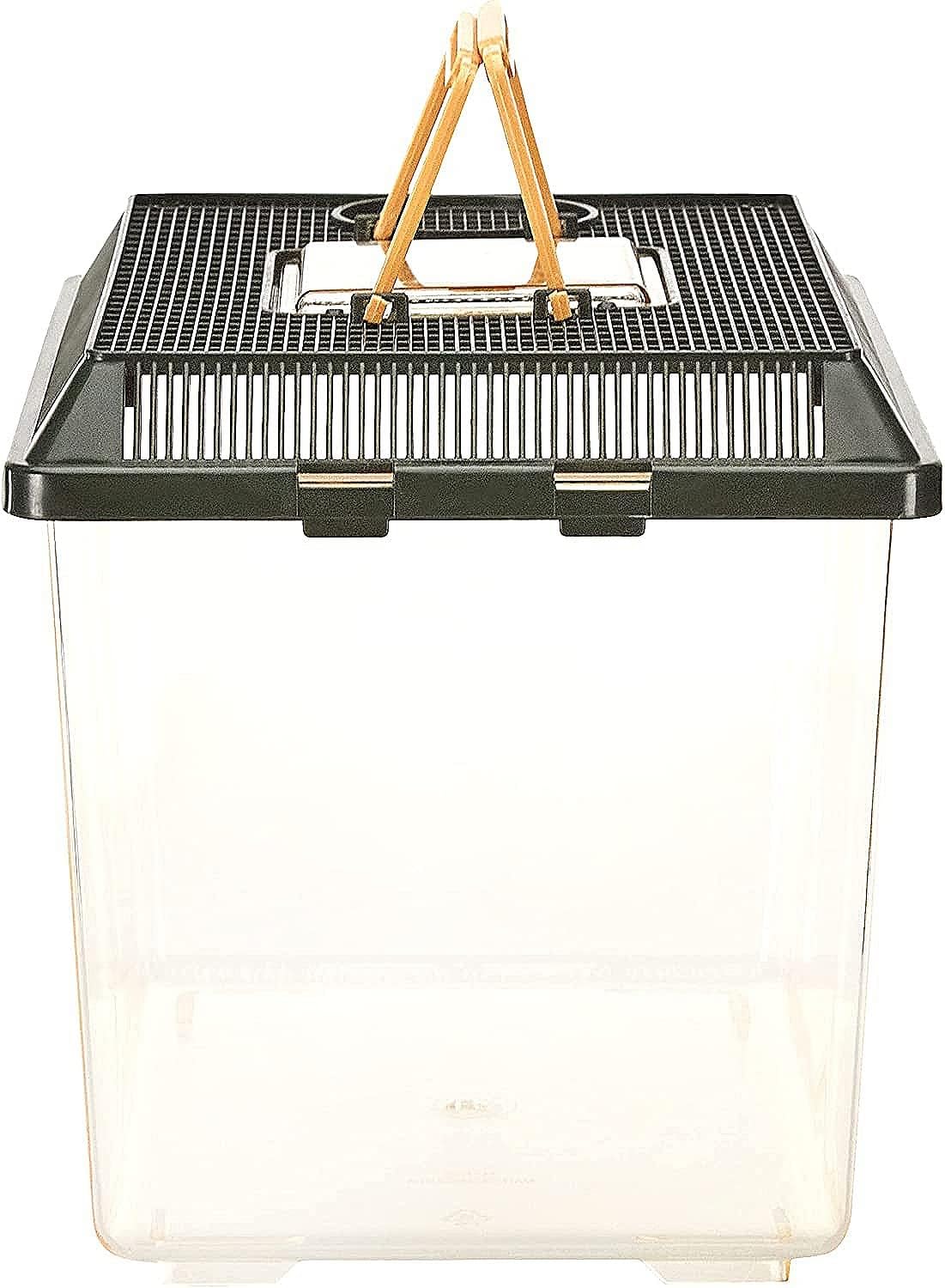 Plastic Terrarium